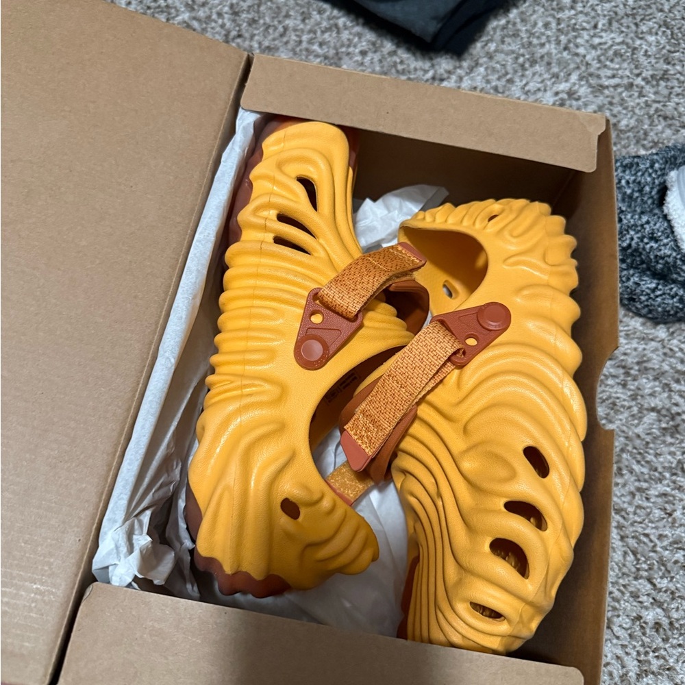 CROCS salehebembury xthepollexclog